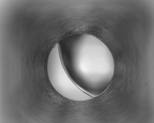 X0000062691250200512211123