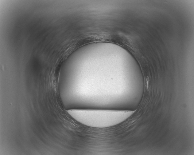 X0000062691251200512211123