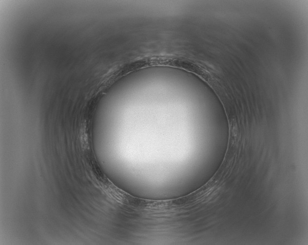 X0000062691252200512211123