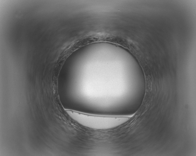 X0000062691253200512211123