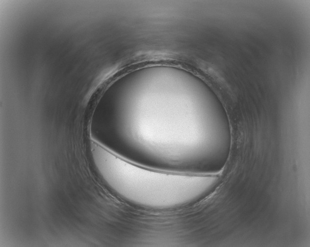 X0000062691261200512211123