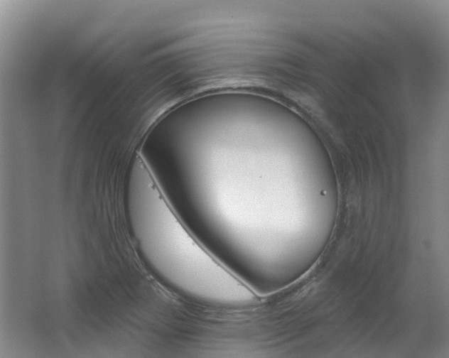 X0000062691273200512211123
