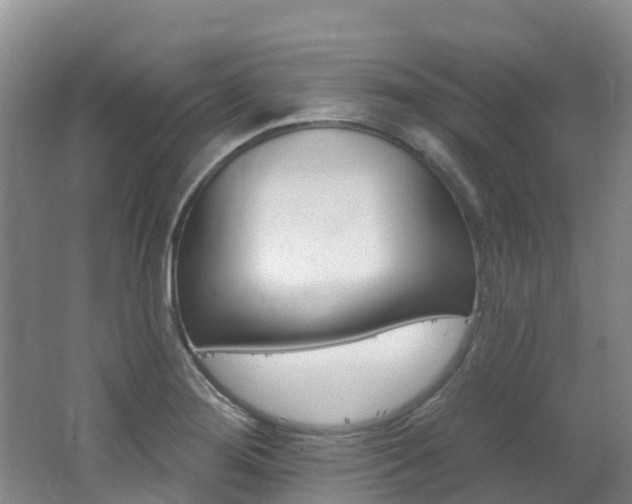 X0000062691276200512211122