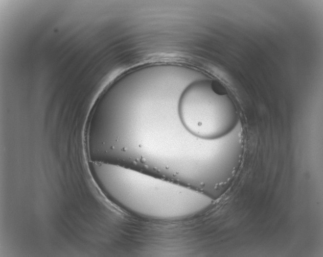 X0000062691283200512211122