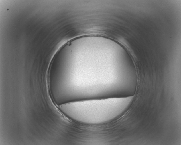 X0000062691291200512211122