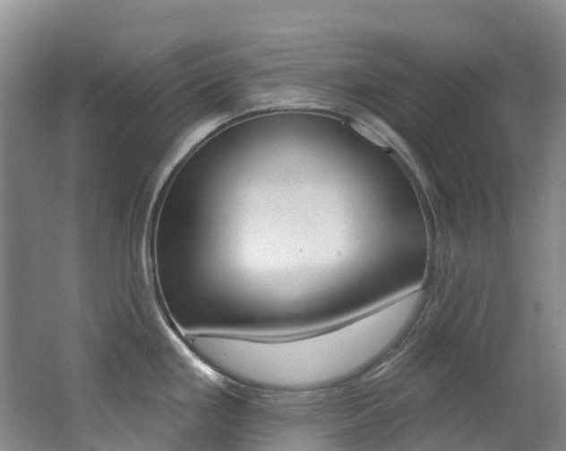 X0000062691293200512211122