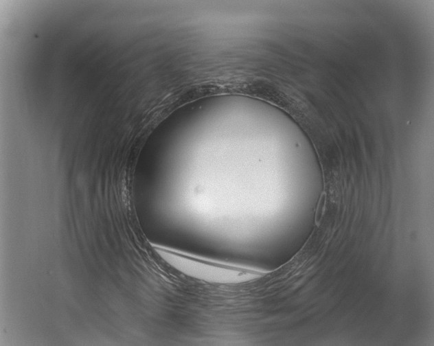 X0000062691298200512211121