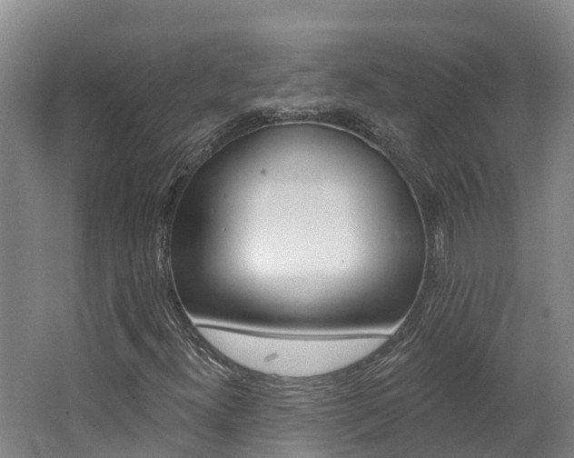 X0000062691300200512211121