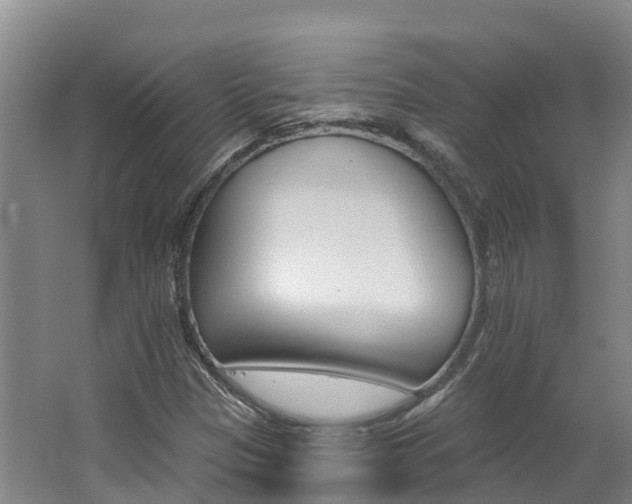 X0000062691305200512211121