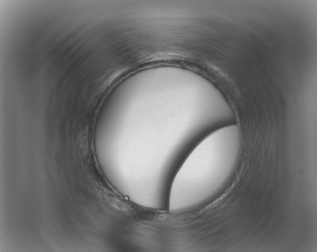 X0000062691313200512211122