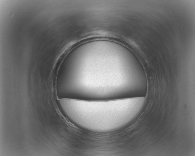 X0000062691318200512211122