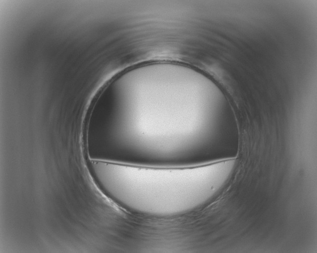 X0000062691331200512211122