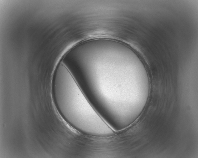 X0000062691333200512211122