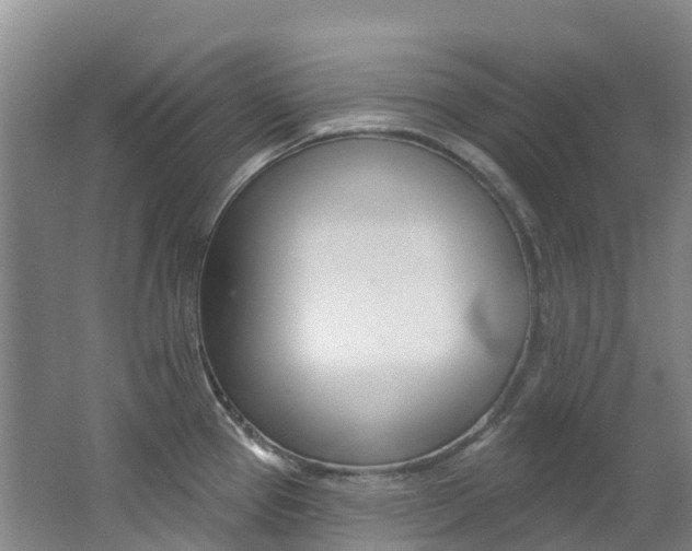 X0000062691337200512211122