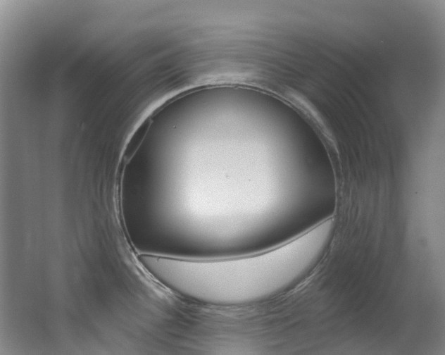 X0000062691340200512211122