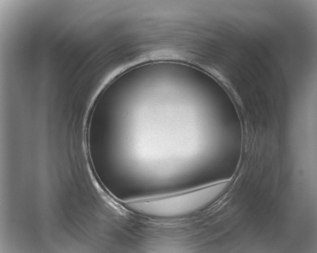 X0000062691342200512211122