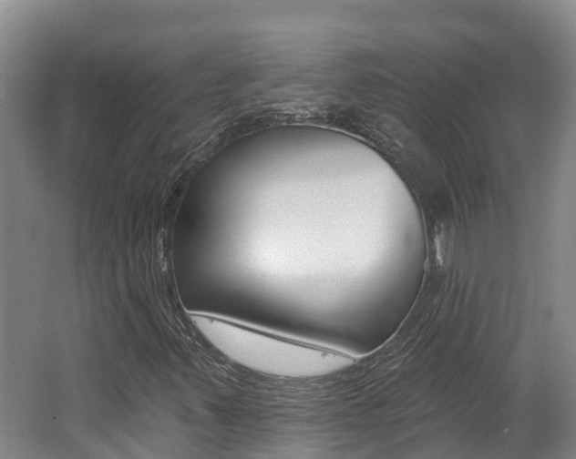 X0000062691347200512211121