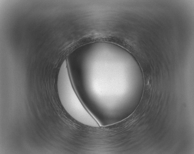 X0000062691348200512211121
