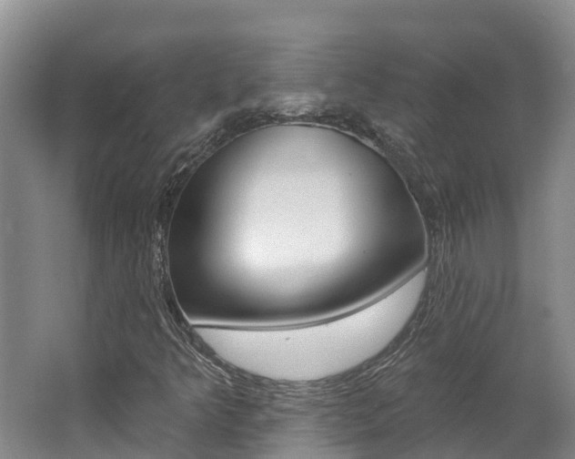 X0000062691349200512211121