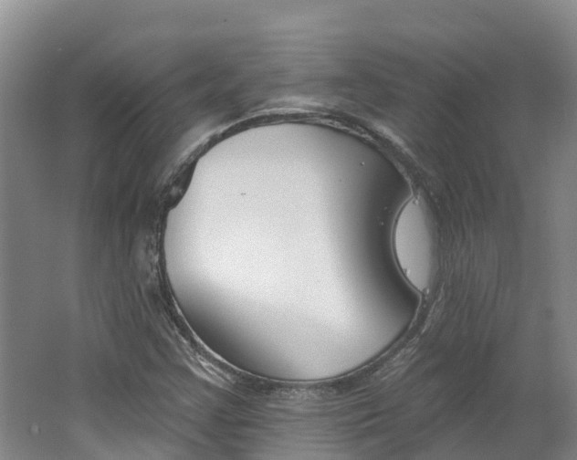 X0000062691355200512211121