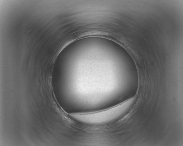 X0000062691369200512211121