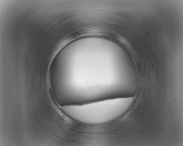 X0000062691370200512211121