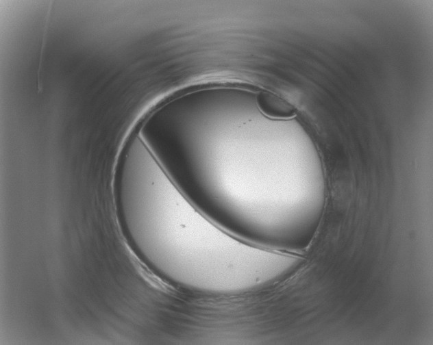 X0000062691372200512211121