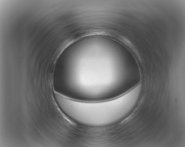 X0000062691377200512211121