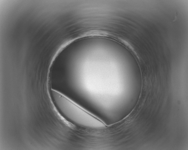 X0000062691379200512211121