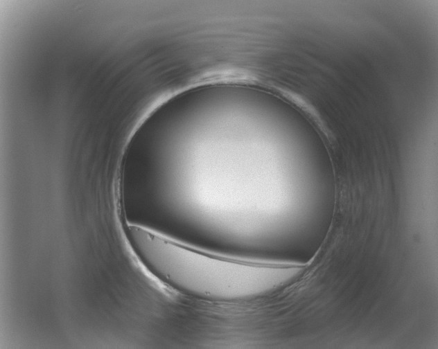 X0000062691383200512211121
