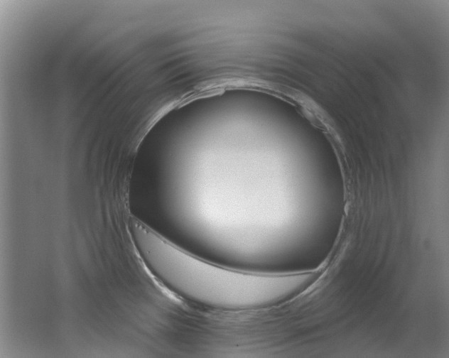 X0000062691385200512211121
