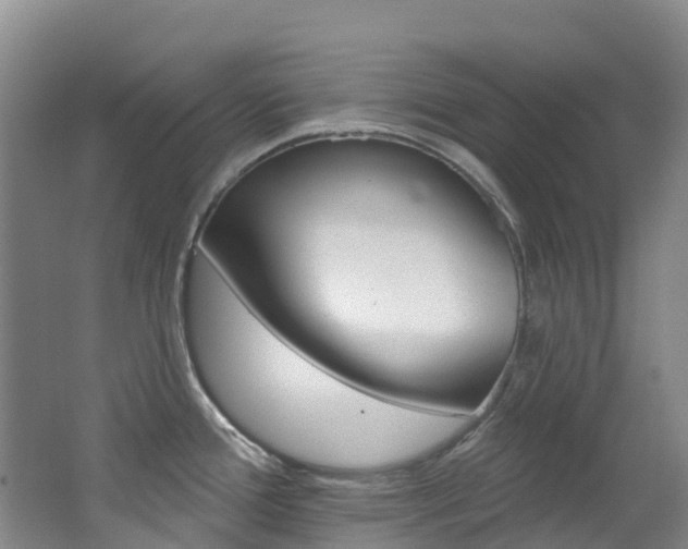 X0000062691388200512211121