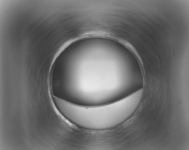 X0000062691389200512211121