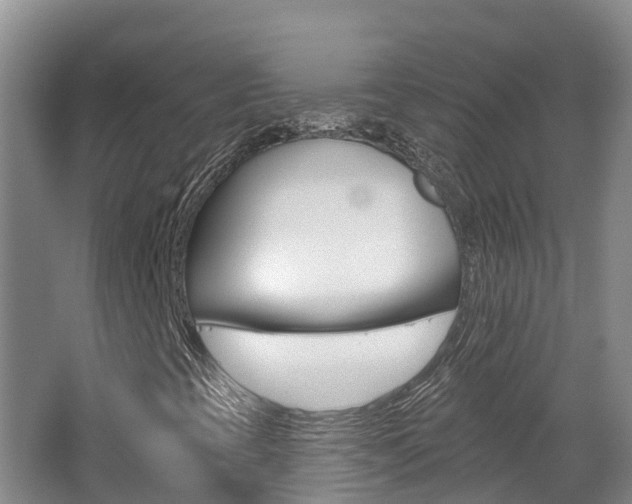 X0000062691393200512211120