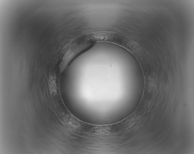X0000062691394200512211120