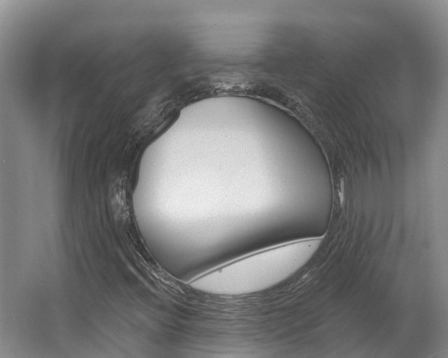 X0000062691396200512211120