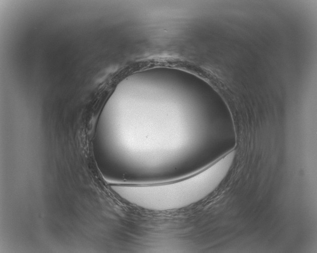 X0000062691398200512211120