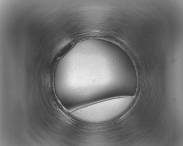 X0000062691402200512211120