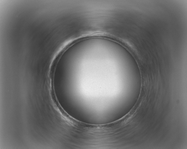 X0000062691414200512211120