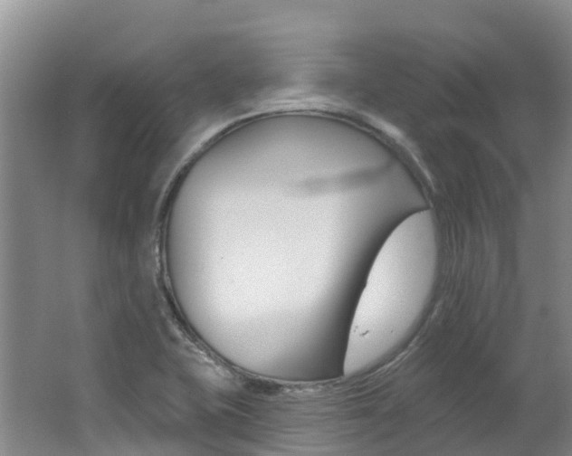 X0000062691415200512211120