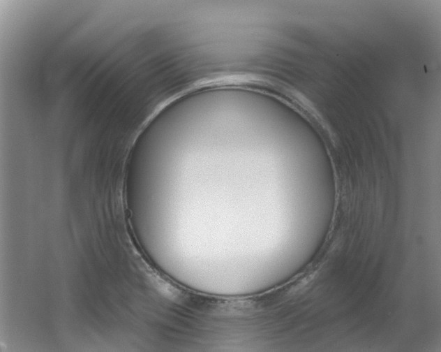 X0000062691417200512211120