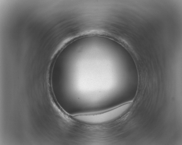 X0000062691422200512211120