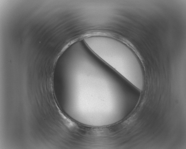 X0000062691433200512211120