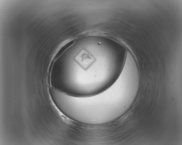 X0000062691434200512211120