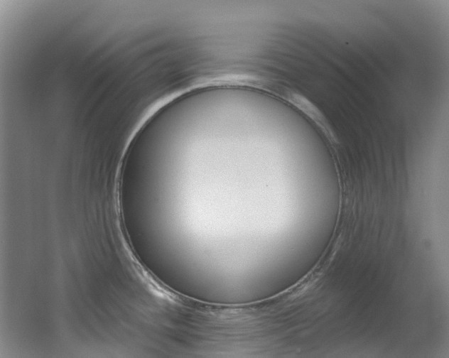 X0000062691436200512211120