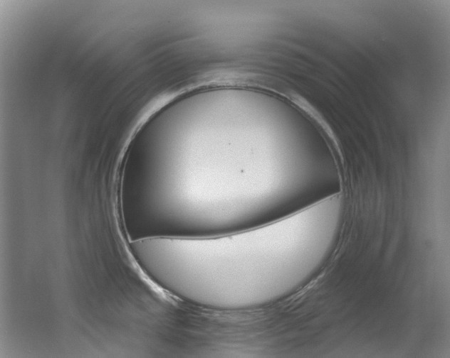 X0000062691437200512211120