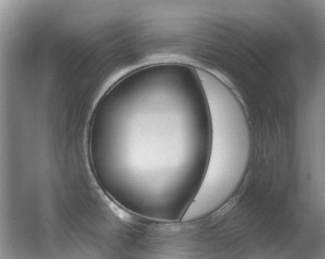 X0000062691438200512211120