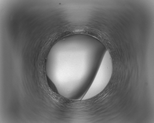 X0000062691441200512211120