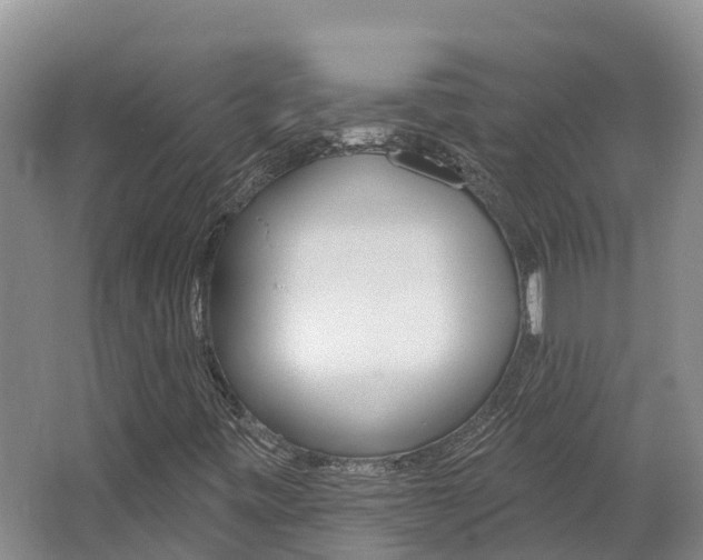 X0000062691443200512211120