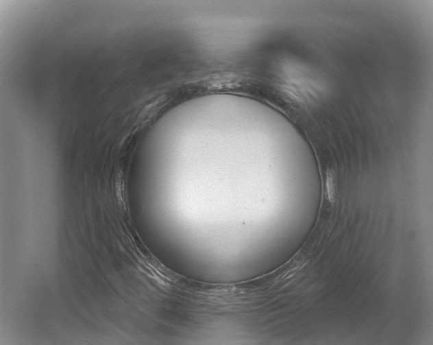 X0000062691444200512211120